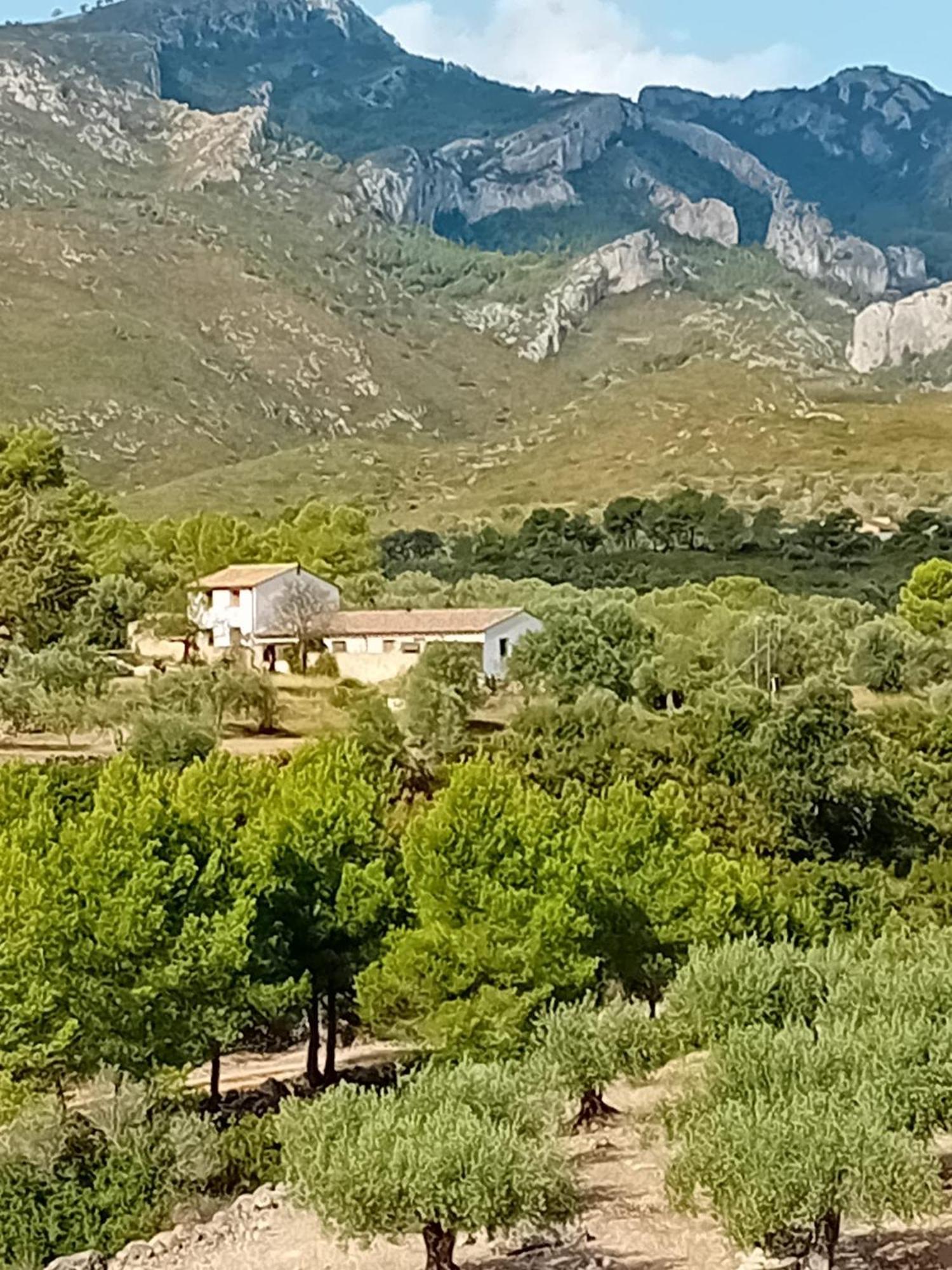 Casa Solans - Casa Rural Rasquera Esterno foto